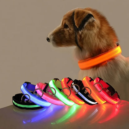 Correa luminosa de nylon para perros: seguridad nocturna con luz LED