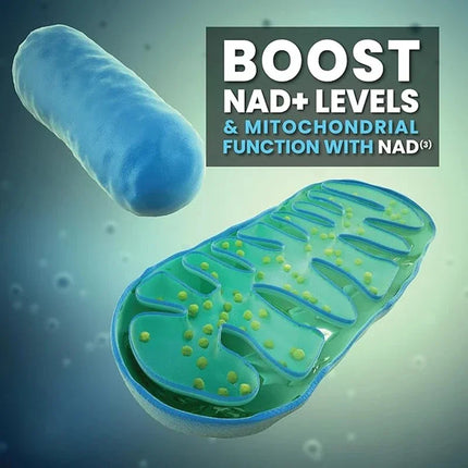 Nicotinamide Riboside Liposomal 900mg + Resveratrol Energía Sin Sabor